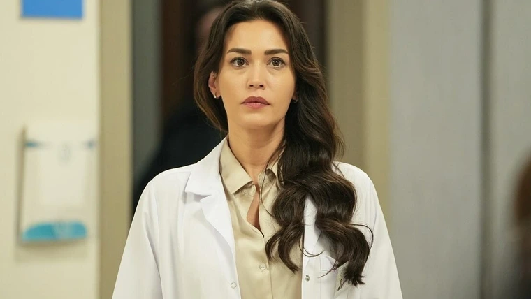 Бахар 25 серия